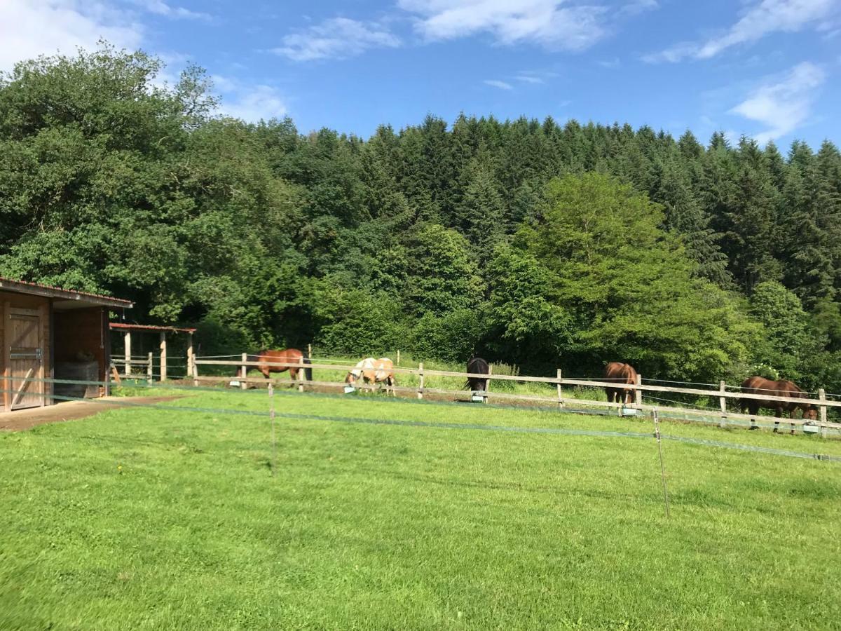 Villa Les Perruchons ancienne grange rénovée avec soin Ozolles Exterior foto